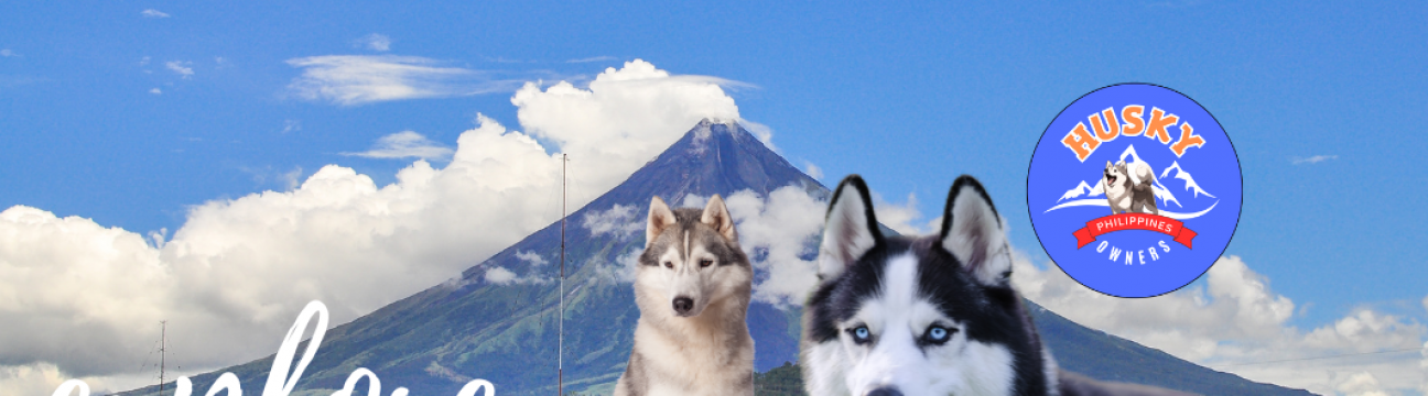 Husky Philippine Owners