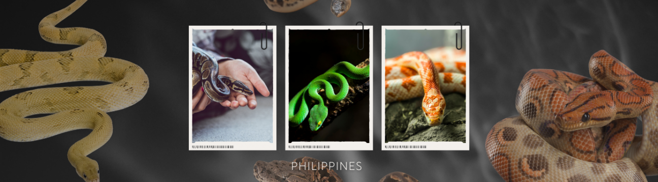 Snake Whisperers PH