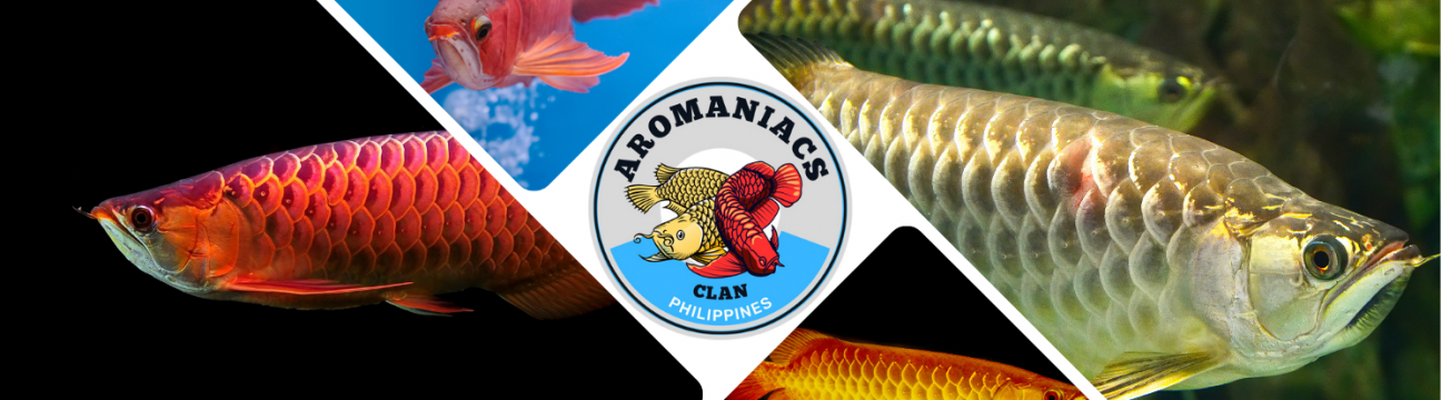 Aromaniacs Philippine Clan