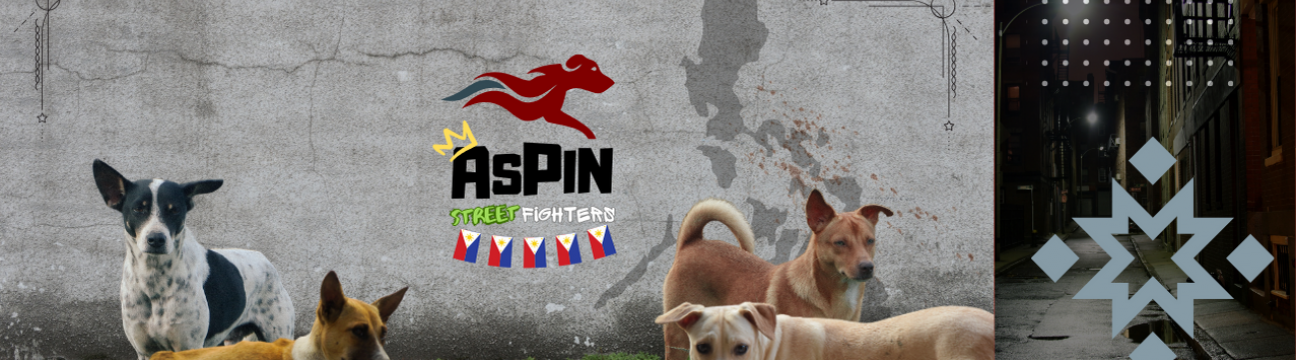 ASPIN STREET FIGHTERS