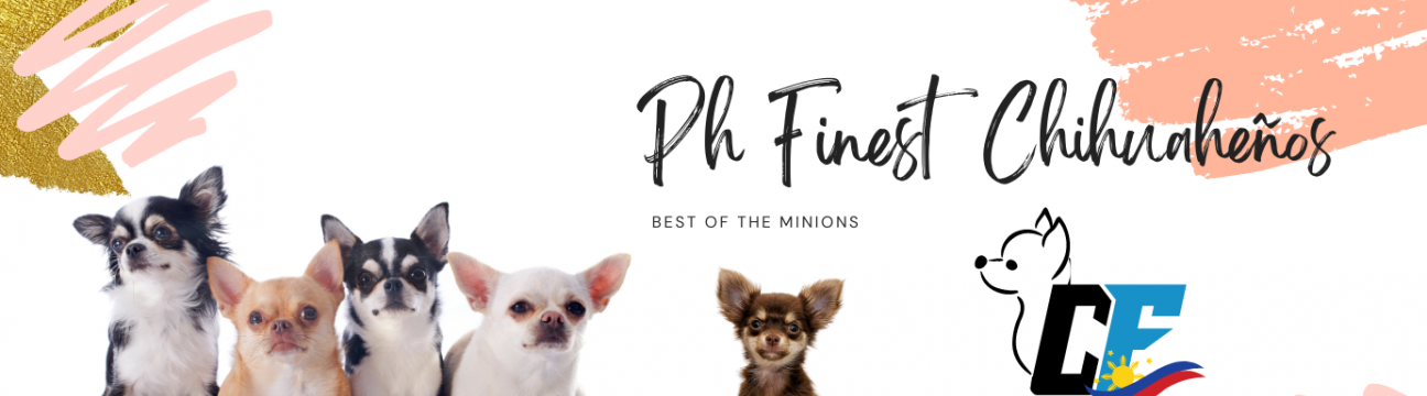 CHIHUAHUA FINEST