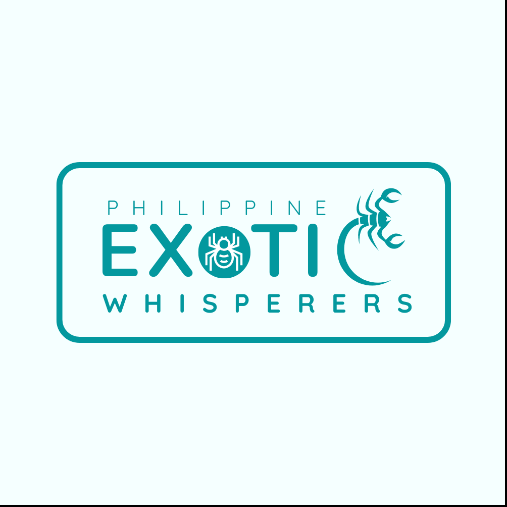 Philippine Exotic Whisperers